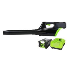 Air Blower Lithium Battery Cordless Leaf Blower， 80V 750W Powerful Electric Cleaning Blower Garden Tool - Powerful(With 5.0ah battery)