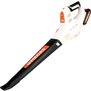Cordless Leaf Blower with Rechargeable 20V Lithium-Ion Battery for Clear Leaves and Debris